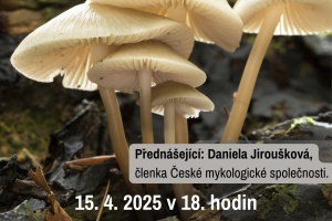Houby jedlé, nejedlé i jedovaté přednáška
