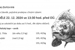 Prodej ryb