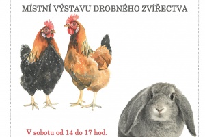 Místní výstava drobného zvířectva