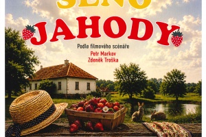 Divadlo na Hlíně